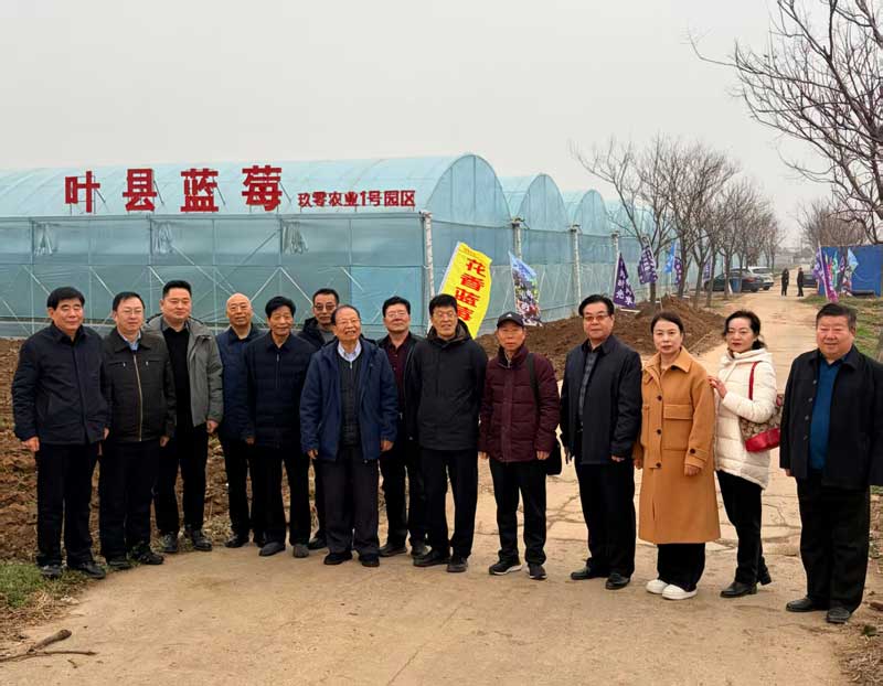 微信图片_20260312102756_72_390