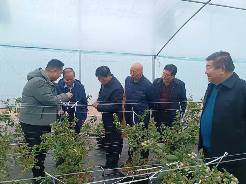 微信图片_20260312102803_73_390